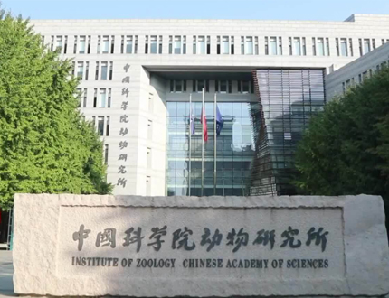 <strong>中國科學院動物研究所無人船項目</strong>